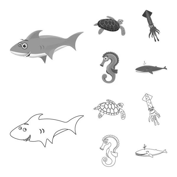 Ilustração Vetorial Logotipo Mar Animal Conjunto Ilustração Vetor Estoque Marítimo — Vetor de Stock