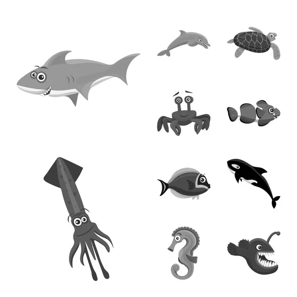 Ilustración vectorial del icono del mar y los animales. Conjunto de símbolo de stock marino y marino para web . — Vector de stock