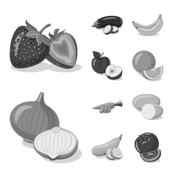 Ilustración vectorial del logotipo de verduras y frutas. Conjunto de vegetal y vegetariano símbolo de stock para la web . — Archivo Imágenes Vectoriales
