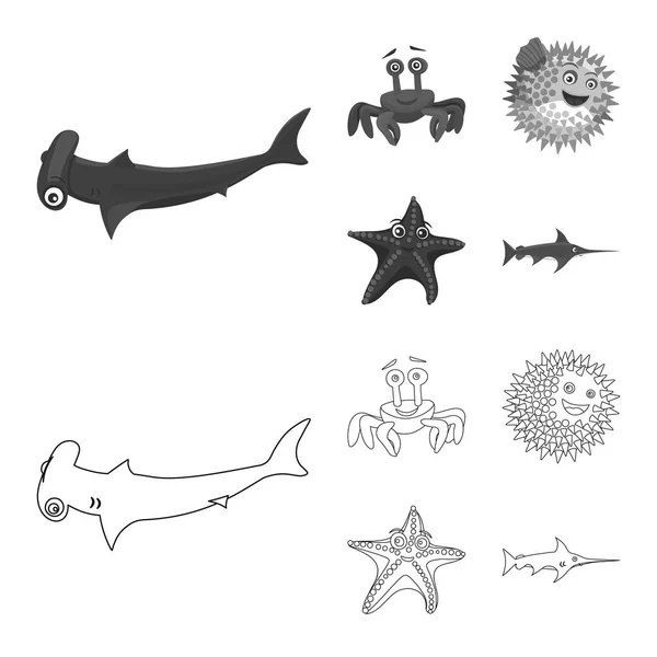 Objeto aislado del icono del mar y los animales. Conjunto de ilustración de vectores marinos y marinos . — Vector de stock