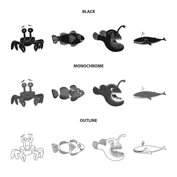 Illustration vectorielle de l'icône marine et animale. Illustration vectorielle des stocks marins et marins . — Image vectorielle