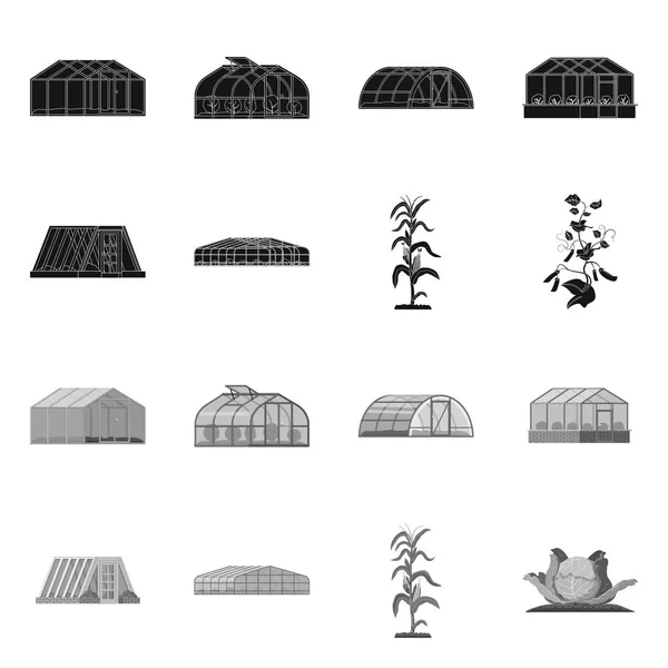 Vektordesign von Gewächshaus und Pflanzensymbol. Reihe von Gewächshäusern und Garten Stock Vektor Illustration. — Stockvektor