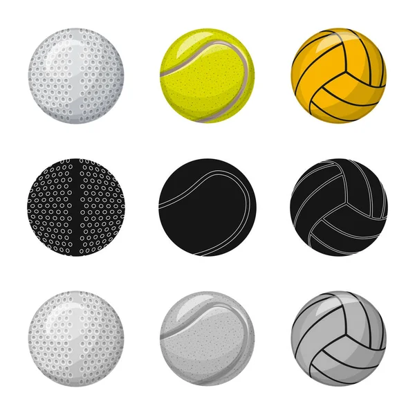 Ilustração vetorial de esporte e ícone de bola. Conjunto de esporte e ícone de vetor atlético para estoque . — Vetor de Stock