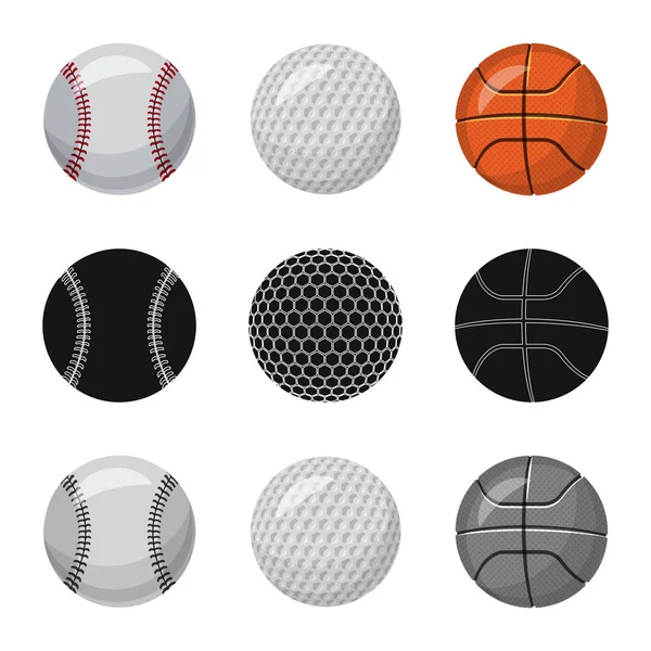 Vector Design Sport Ball Icon Collection Sport Athletic Stock Symbol — Stock Vector