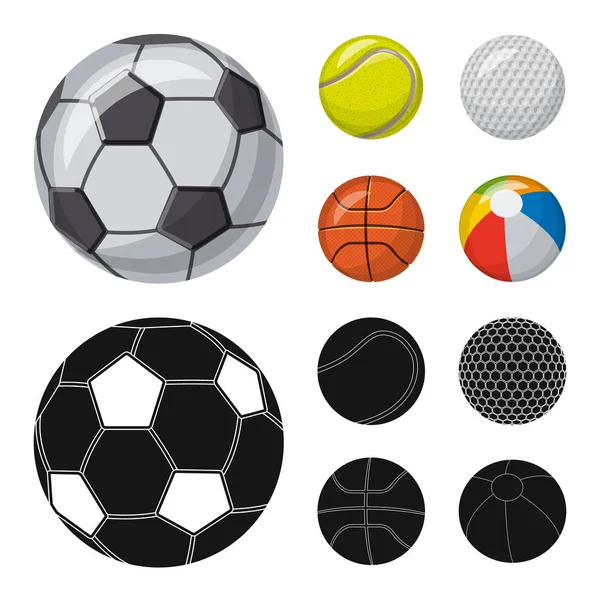 Vektor-Design von Sport und Ballsymbol. Sammlung von Sport und athletischen Aktienvektoren Illustration. — Stockvektor