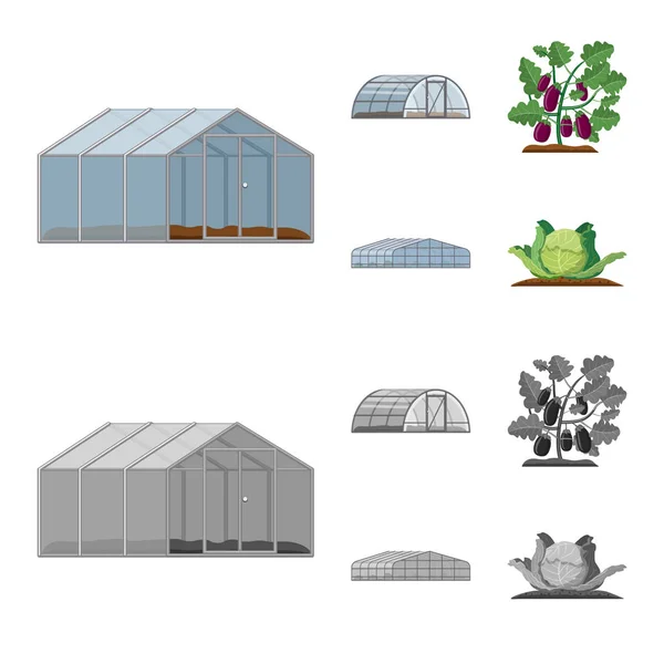 温室和植物图标的矢量设计。一套温室和花园股票符号的网站. — 图库矢量图片
