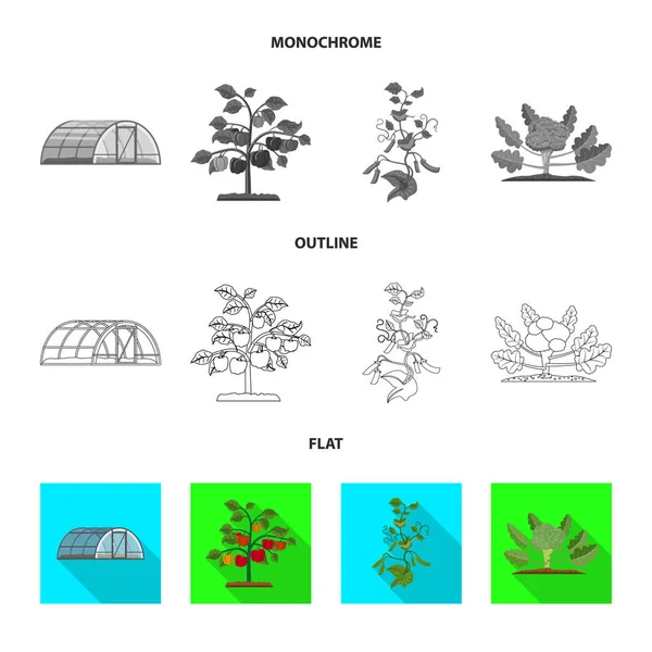 Vektorillustration von Gewächshaus und Pflanzensymbol. Reihe von Gewächshäusern und Garten Stock Vektor Illustration. — Stockvektor