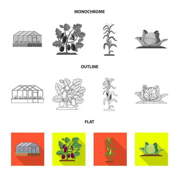 Projekt wektor ikona cieplarnianych i roślin. Zestaw cieplarnianych i ogród Stockowa ilustracja wektorowa. — Wektor stockowy