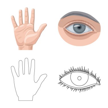 İnsan ve yarım simgesi yalıtılmış nesne. Web için insan ve kadın hisse senedi simgesi kümesi.