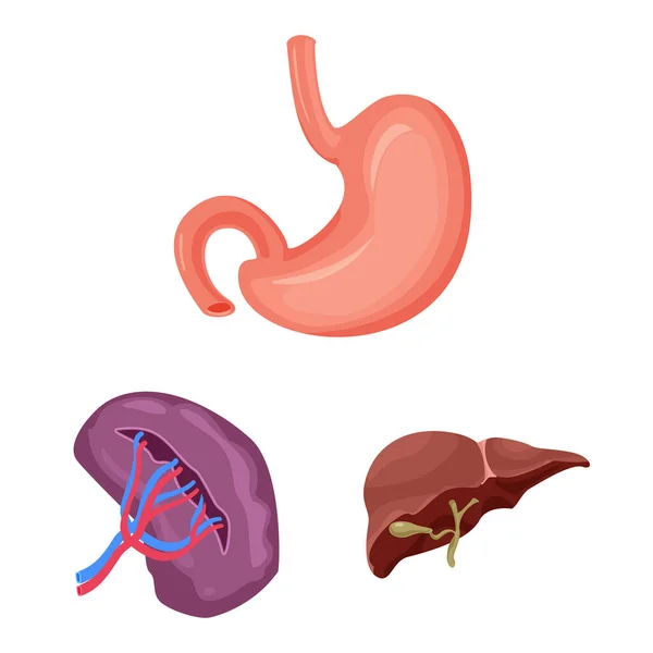 Desenho vetorial do corpo e símbolo humano. Conjunto de corpo e ícone de vetor médico para estoque . — Vetor de Stock