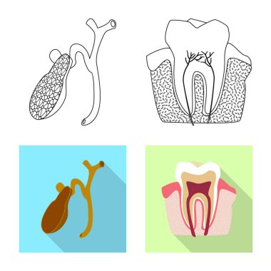 Vücut ve insan logo vektör tasarımı. Vücut ve hisse senedi için tıbbi vektör ikon koleksiyonu.