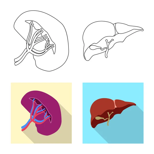 Objeto isolado de corpo e ícone humano. Conjunto de corpo e estojo médico ilustração vetorial . — Vetor de Stock