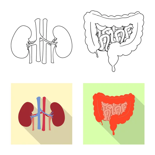 Diseño vectorial del cuerpo y el icono humano. Colección de cuerpo y el símbolo de stock médico para la web . — Vector de stock