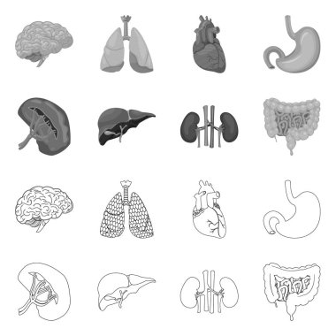 Vücut ve insan logo vektör tasarımı. Vücut ve web için tıbbi hisse senedi simgesi toplama.