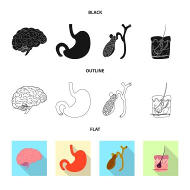 Vücut ve insan işareti vektör tasarımı. Vücut ve hisse senedi için tıbbi vektör ikon koleksiyonu.