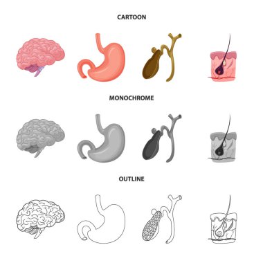 Vücut ve insan sembolü yalıtılmış nesne. Vücut ve hisse senedi için tıbbi vektör ikon koleksiyonu.
