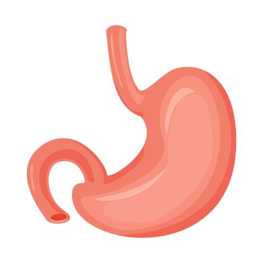 Vücut ve insan sembolünün vektör tasarımı. Ağ için vücut ve tıbbi stok sembolü.