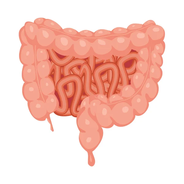 Ilustração vetorial do corpo e do logotipo humano. Conjunto de corpo e estojo médico ilustração vetorial . —  Vetores de Stock