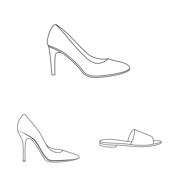 Projeto vetorial de calçado e símbolo de mulher. Coleta de calçados e ilustração do vetor de estoque de pés . — Vetor de Stock