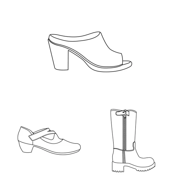 Isolated object of footwear and woman icon. Set of footwear and foot vector icon for stock. — Stock Vector