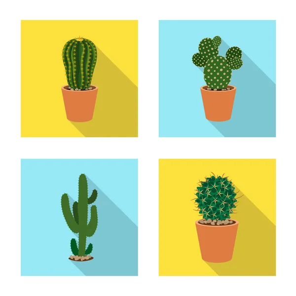 Isolated object of cactus and pot icon. Set of cactus and cacti stock symbol for web. — Stock Vector