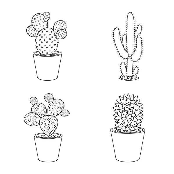 Conjunto de cactos em estilo simples de desenho animado isolado no fundo  branco. cactus em vasos e flores. cacto