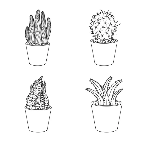 Ilustración vectorial de cactus y logotipo del pote. Conjunto de ilustración vectorial de cactus y cactus . — Archivo Imágenes Vectoriales