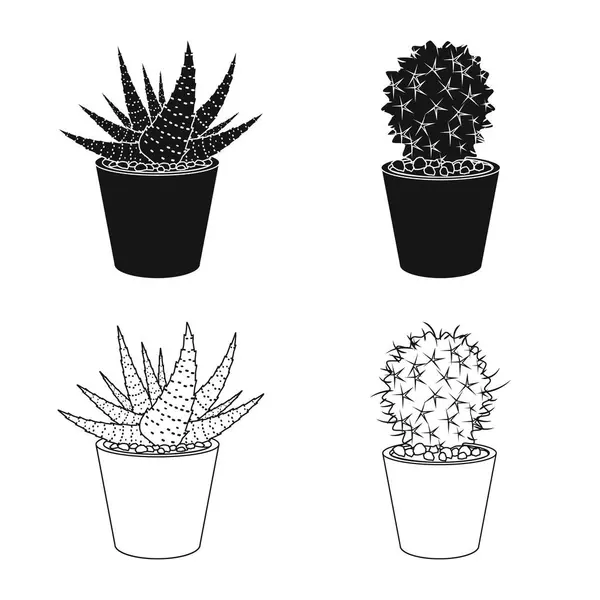 Illustration vectorielle du cactus et icône du pot. Ensemble de cactus et de cactus symbole stock pour le web . — Image vectorielle