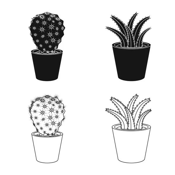 Vektorillustration av kaktus och potten logotyp. Samling av kaktus och kaktusar stock symbol för webben. — Stock vektor