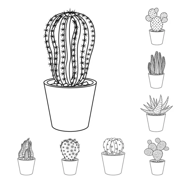 Kaktusz és a pot logó vektoros illusztráció. A kaktusz és kaktuszok vektor, ikon stock. — Stock Vector