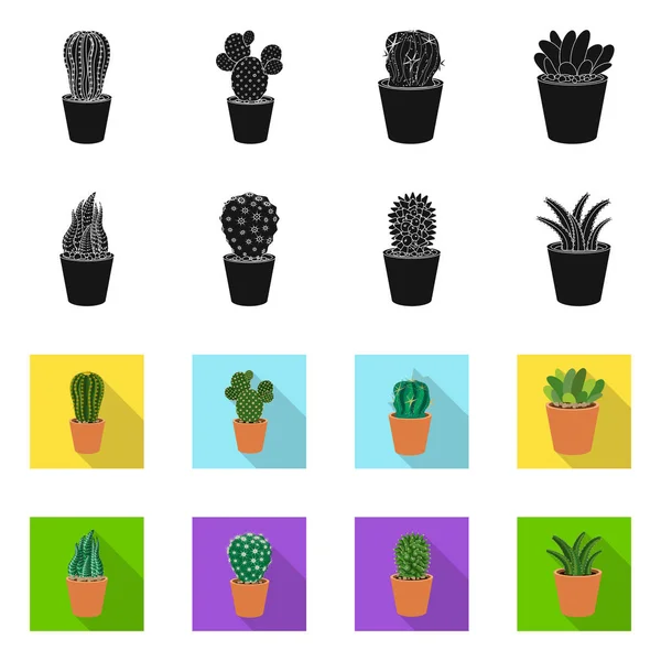 Diseño vectorial de cactus y logotipo del pote. Colección de cactus y cactus vector icono para stock . — Archivo Imágenes Vectoriales