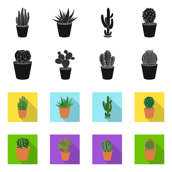Progettazione vettoriale del segno del vaso e del cactus. Raccolta di cactus e cactus stock illustrazione vettoriale . — Vettoriale Stock
