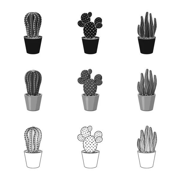 Objeto aislado de cactus y signo de maceta. Colección de cactus y cactus vector icono para stock . — Archivo Imágenes Vectoriales