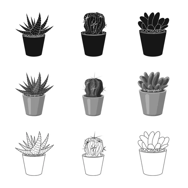 Vektor-Design von Kaktus und Topfschild. Set von Kakteen und Kakteen Vektor Illustration. — Stockvektor