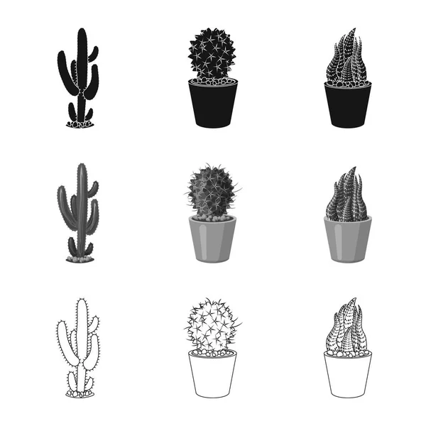 Diseño vectorial de cactus y pote símbolo. Conjunto de ilustración vectorial de cactus y cactus . — Archivo Imágenes Vectoriales