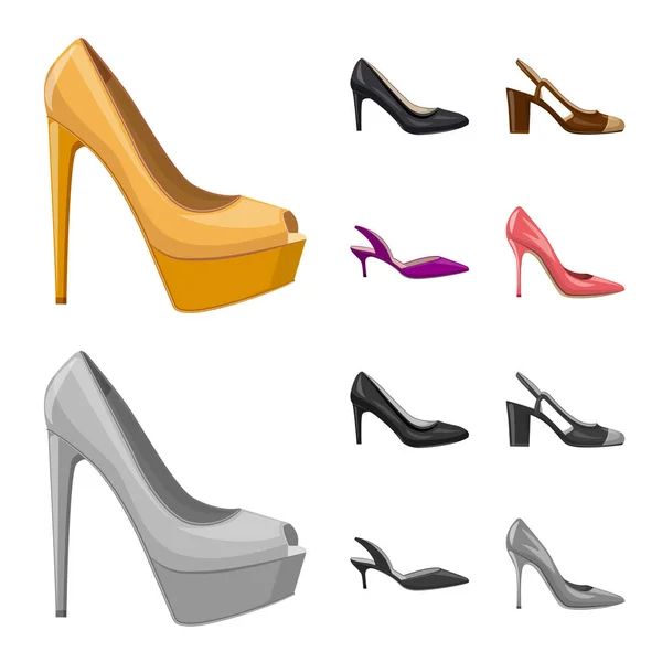Isolerade objekt av skodon och kvinna symbol. Uppsättning av skor och fot lager vektorillustration. — Stock vektor