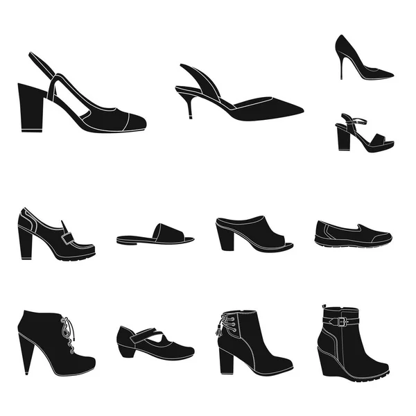 Diseño vectorial de calzado y logotipo de mujer. Set de calzado y pie vector icono para stock . — Vector de stock