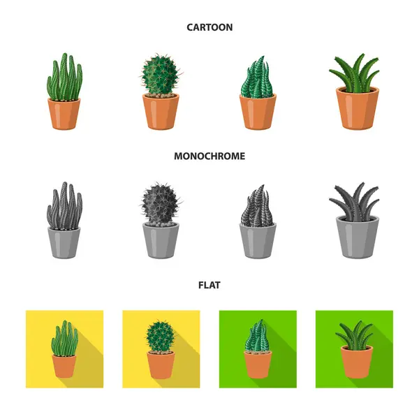Ilustración vectorial de cactus y pote símbolo. Conjunto de cactus y cactus símbolo de stock para web . — Archivo Imágenes Vectoriales
