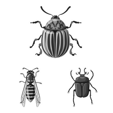 Böcek ve sinek simge vektör tasarımı. Böcek ve öğe hisse senedi simgesi için web topluluğu.