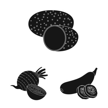 Sebze ve meyve simgesi yalıtılmış nesne. Sebze ve vejeteryan hisse senedi vektör çizim seti.