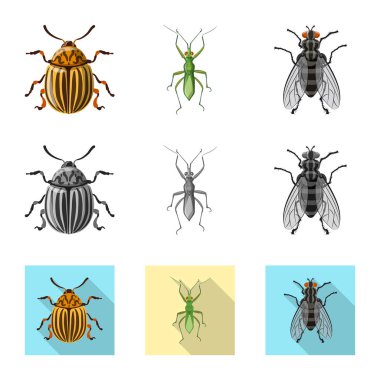 Böcek ve sinek işareti yalıtılmış nesne. Böcek ve öğe hisse senedi vektör çizim seti.