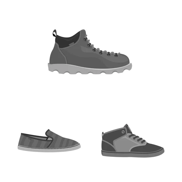 Vector ontwerp van schoenen en schoeisel teken. Set van schoen en voet aandelensymbool voor web. — Stockvector