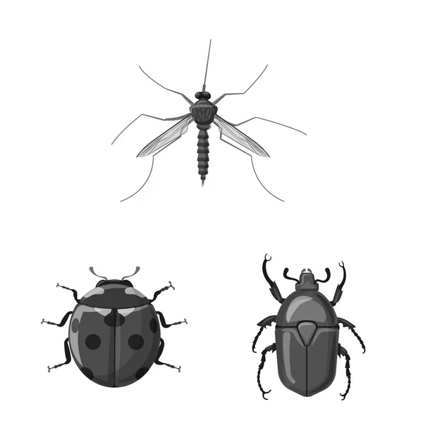 Oggetto isolato di insetto e mosca logo. Set di insetto ed elemento stock simbolo per il web . — Vettoriale Stock