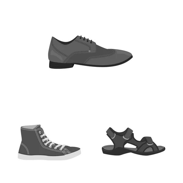 Ilustración vectorial del zapato y símbolo del calzado. Conjunto de zapato y pie símbolo de stock para web . — Vector de stock