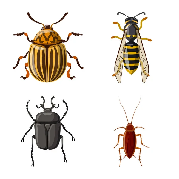 Objet isolé d'insecte et icône de mouche. Ensemble d'icône vectorielle d'insecte et d'élément pour le stock . — Image vectorielle
