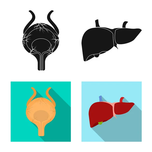 Diseño vectorial del cuerpo y el icono humano. Conjunto de ilustración de vectores de cuerpo y stock médico . — Vector de stock