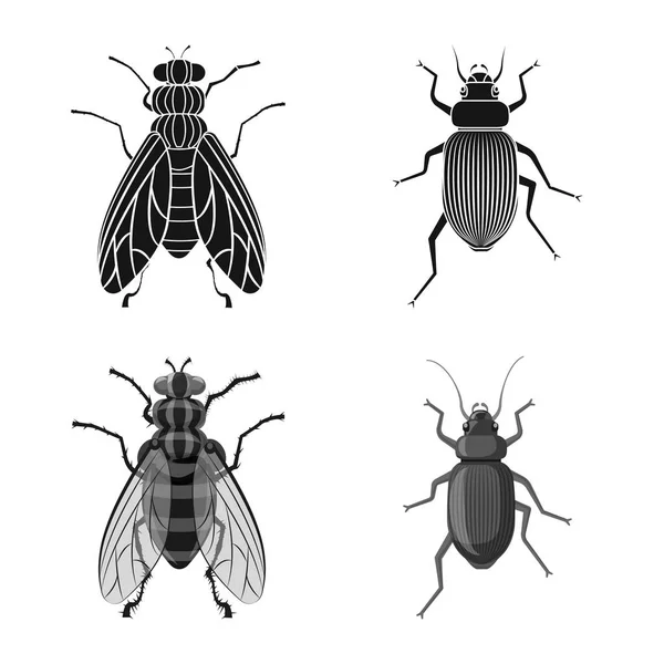 Objeto isolado de ícone de inseto e mosca. Coleção de ilustração vetorial de estoque de insetos e elementos . —  Vetores de Stock