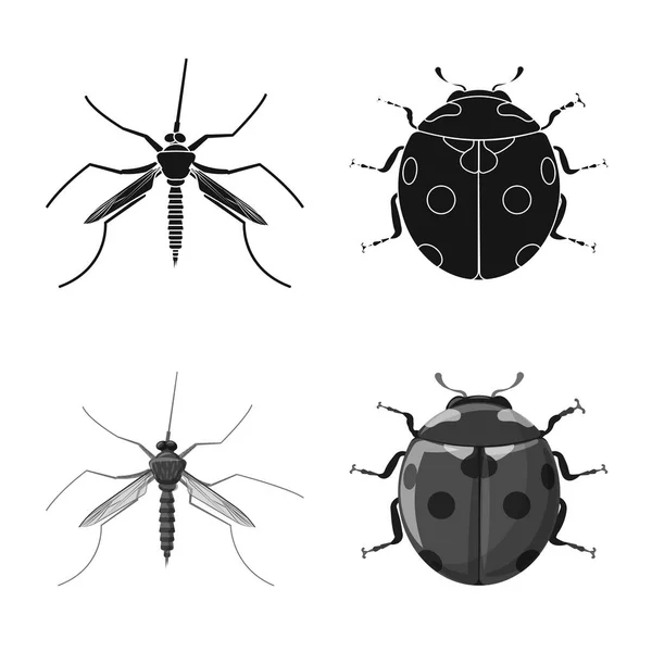 Objeto aislado de insecto e ícono de mosca. Colección de insectos y símbolo de stock de elementos para la web . — Vector de stock