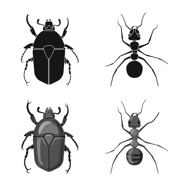 Векторная иллюстрация символа насекомого и мухи. Коллекция векторных иллюстраций насекомых и элементов . — стоковый вектор