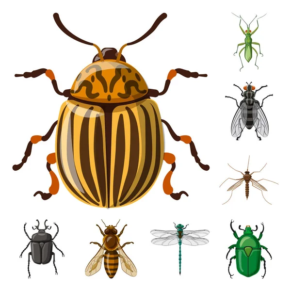 Ilustración vectorial del logotipo de insectos y moscas. Conjunto de icono de vector de insectos y elementos para stock . — Archivo Imágenes Vectoriales